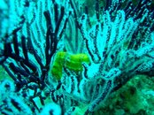IMG_1434.jpg