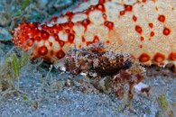 IMG_8326wa.jpg