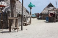 IMG_9485.jpg