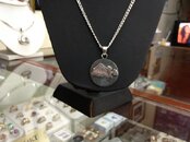 trunkfishnecklace.jpg