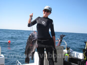 ocdb_6_1_2012_2.jpg ocdb_6_1_2012_2.jpg