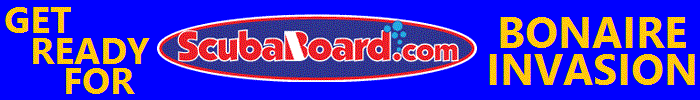 Bonaire Fishinar 700x100.gif
