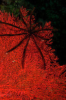 8756181761_222b527d99_n.jpg