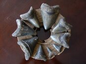 DSC02940.jpg