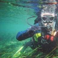 R A Diver