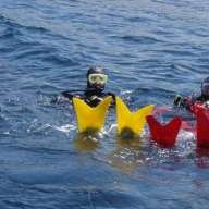 oregondiver