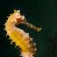 divewench1