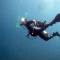 paddydiver