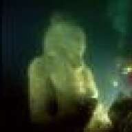 jellyfishluv
