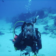 Divegoose