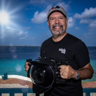 Ed Wolfstein