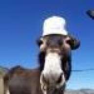 Homeyllama