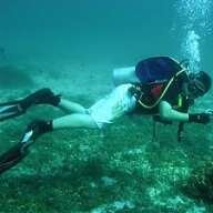 dive_lover88