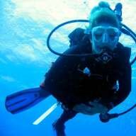 sea horse diver
