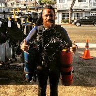TigerDiver8