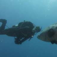 Sir-Dive-A-Lot