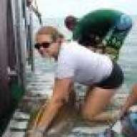 sarasharkwhisperer