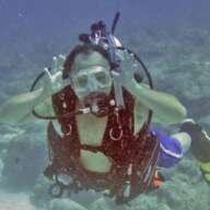 LI Diver