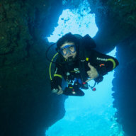 SouthDive