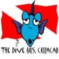 TheDiveBus