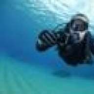 shellbackdiver1