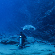 AquamanKauai