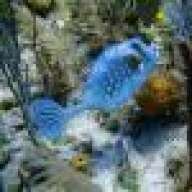 catalina_mike