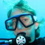 DixieDolphin