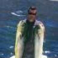 Tailchaser