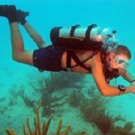 UCFKnightDiver