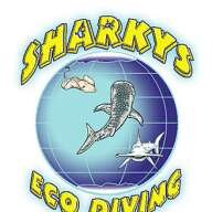 SharkysEcoDiving