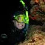 Baracuda Smile
