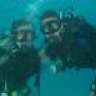 Meddiver