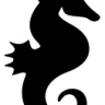 seahorse1