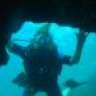 freshdiver