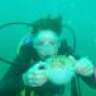 divingchica