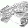 Seahunter56