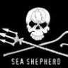 SeaSheperd