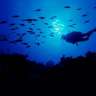 Mareas