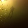 Ghost Diver #