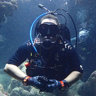 Manatee Diver