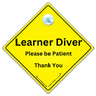 Learner Diver