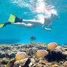 Snorkeling Lombok