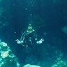 in dive hurghada