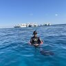 moabdelhamid_24
