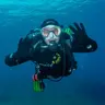 sharko108