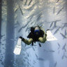 BenjitheDiver
