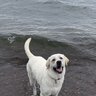 bigwaterguy
