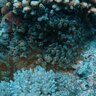 scubalo.com