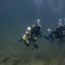 scuba_wayne